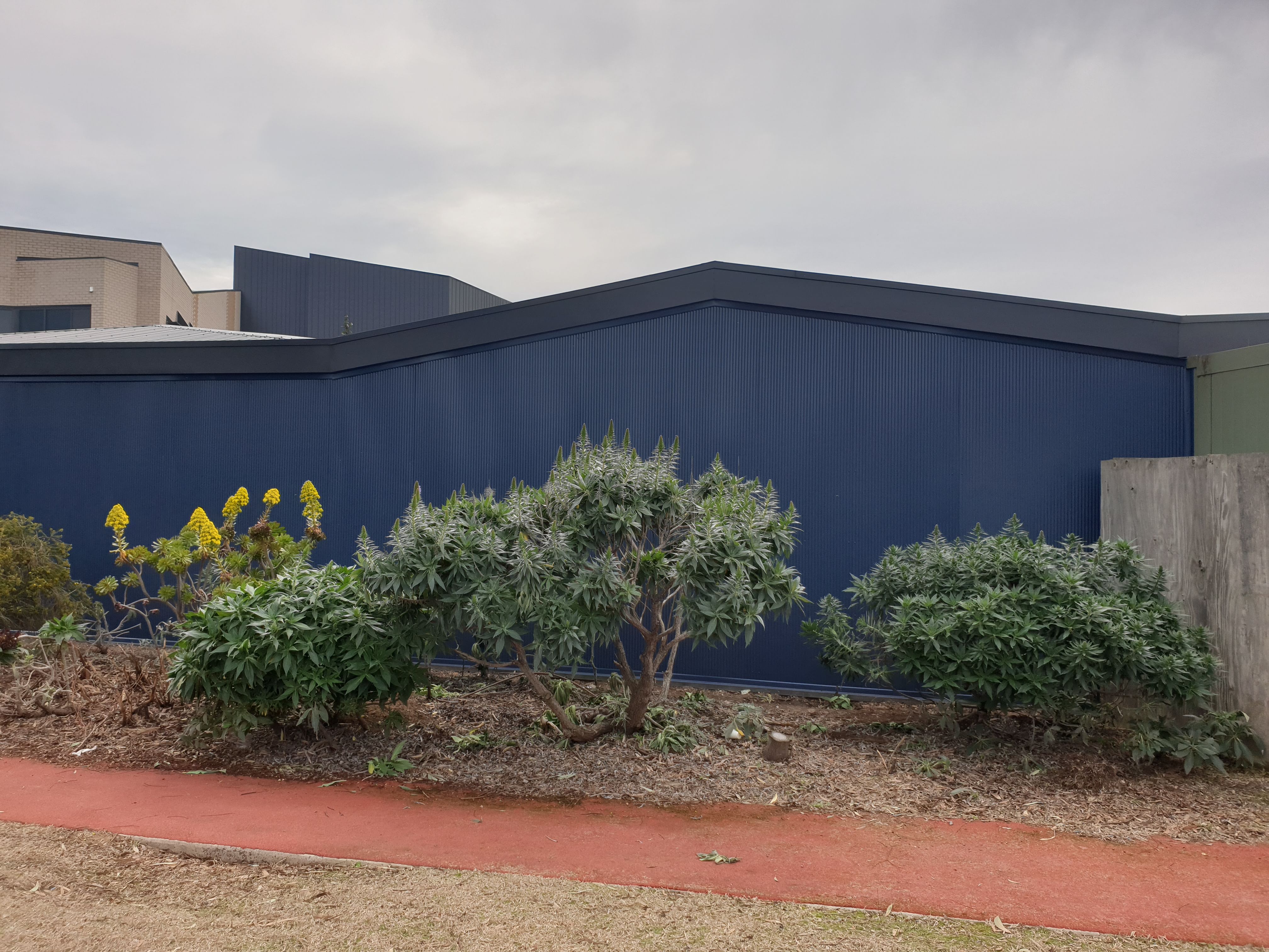 RJL Commercial Fencing and Gates — Colorbond acoustic and privacy screen, school site